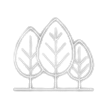 SVG
